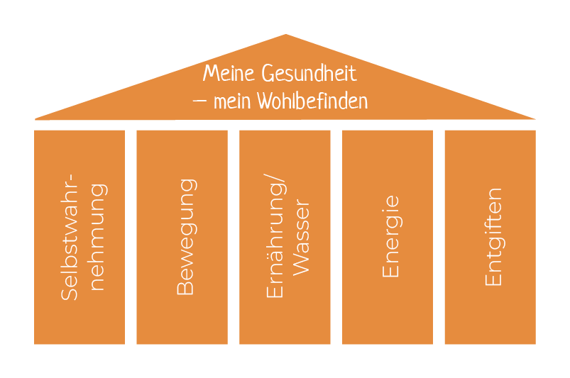 Schema